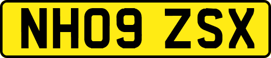 NH09ZSX