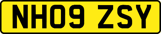 NH09ZSY