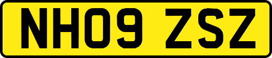 NH09ZSZ
