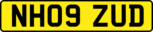 NH09ZUD