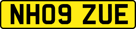 NH09ZUE