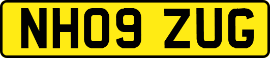 NH09ZUG