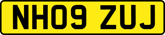 NH09ZUJ