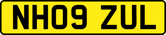 NH09ZUL