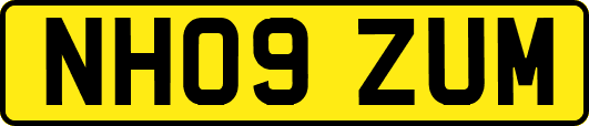 NH09ZUM