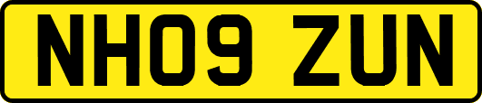 NH09ZUN