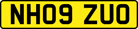 NH09ZUO
