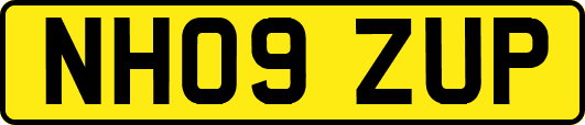 NH09ZUP