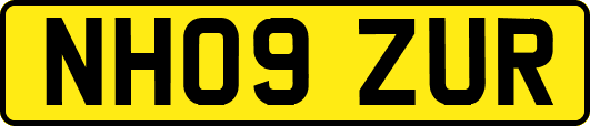 NH09ZUR