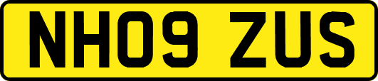 NH09ZUS