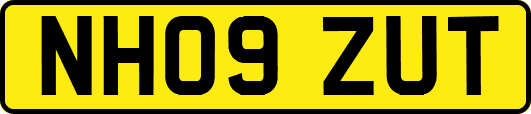 NH09ZUT