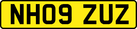 NH09ZUZ