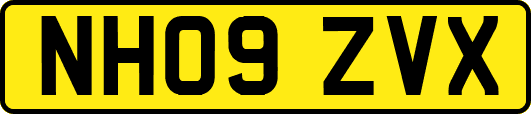 NH09ZVX