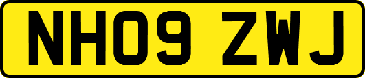 NH09ZWJ