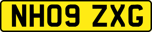 NH09ZXG