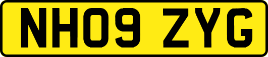 NH09ZYG