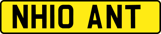 NH10ANT