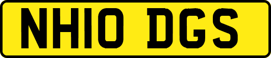NH10DGS