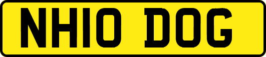 NH10DOG