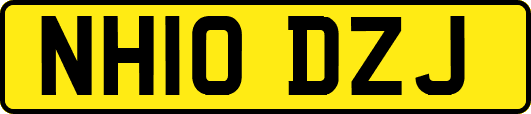 NH10DZJ