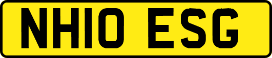 NH10ESG