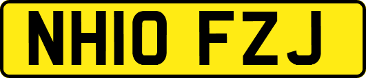 NH10FZJ