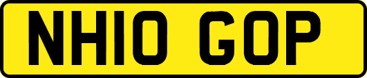 NH10GOP