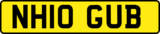 NH10GUB