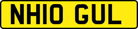 NH10GUL