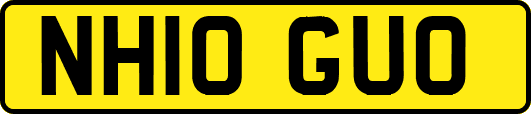 NH10GUO