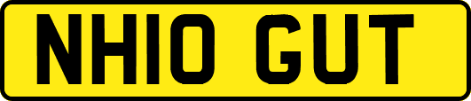NH10GUT