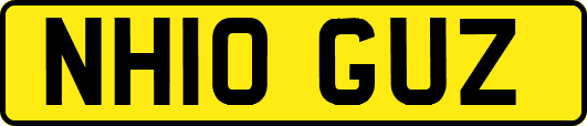 NH10GUZ