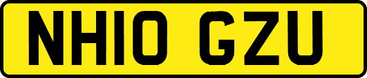 NH10GZU