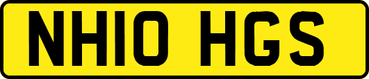 NH10HGS