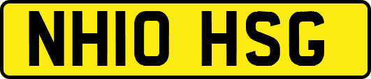 NH10HSG