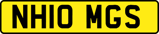 NH10MGS