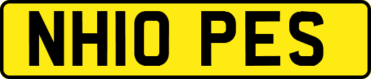 NH10PES