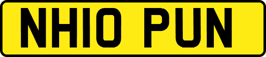 NH10PUN