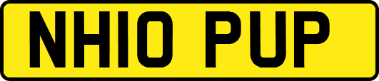 NH10PUP