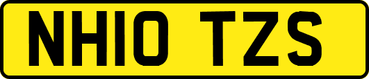 NH10TZS