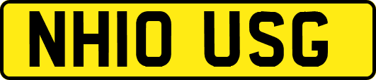 NH10USG