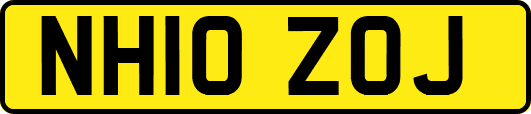 NH10ZOJ
