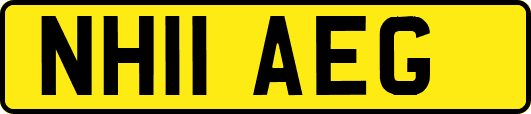 NH11AEG