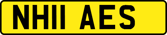 NH11AES