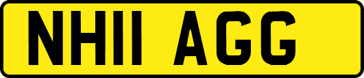 NH11AGG