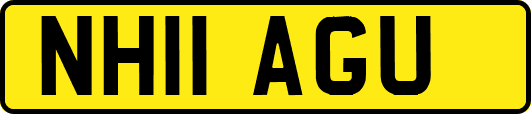 NH11AGU