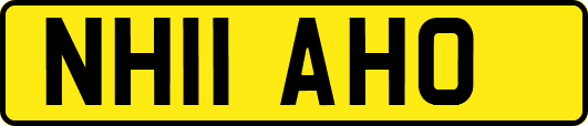 NH11AHO