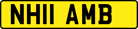 NH11AMB