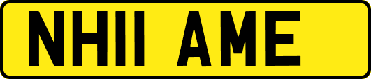 NH11AME