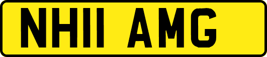 NH11AMG